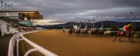 Dundalk (AW) Racecourse .